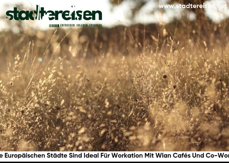 Diese Europäischen Städte Sind Ideal Für Workation Mit Wlan Cafés Und Co-Working