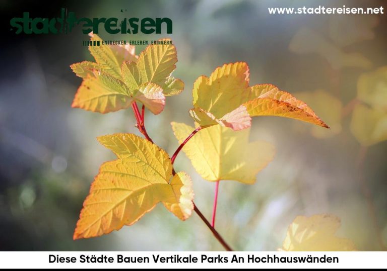 Diese Städte Bauen Vertikale Parks An Hochhauswänden