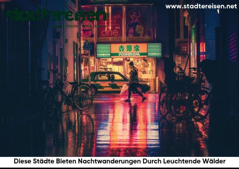 Diese Städte Bieten Nachtwanderungen Durch Leuchtende Wälder