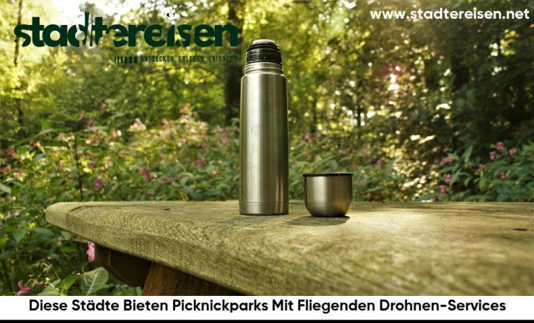 Diese Städte Bieten Picknickparks Mit Fliegenden Drohnen-Services