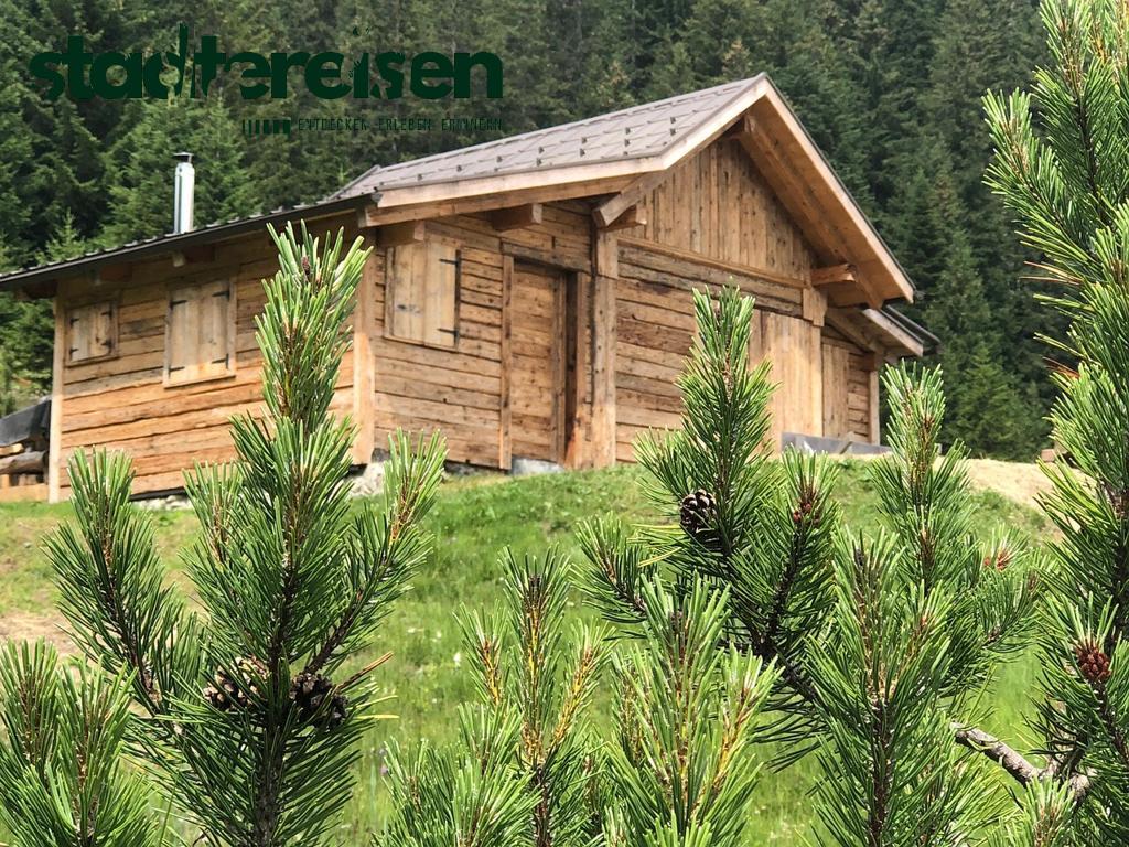 Diese Städte Bieten Übernachtungen In Baumhäusern Mitten In Der City