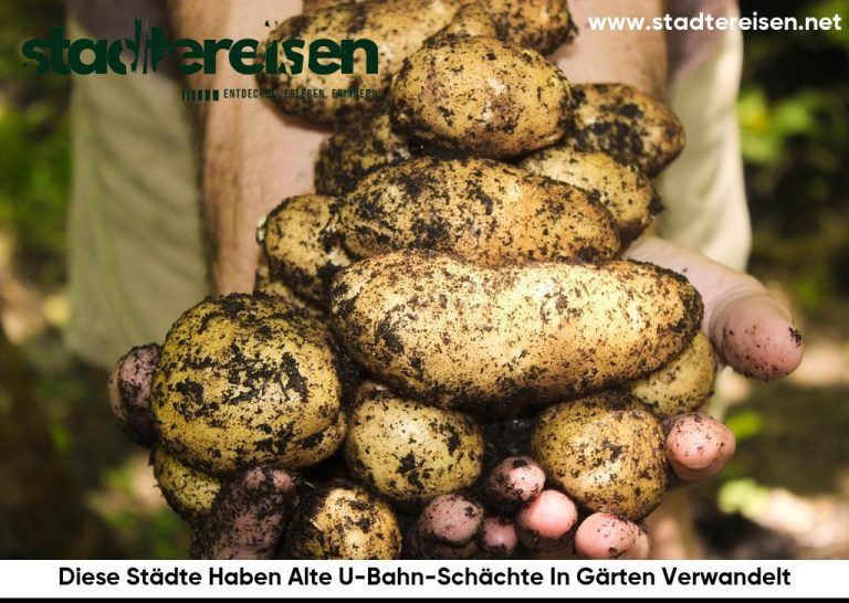 Diese Städte Haben Alte U-Bahn-Schächte In Gärten Verwandelt