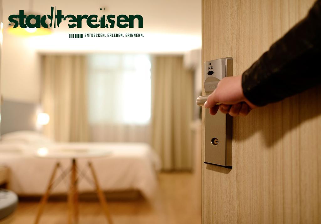 Diese Städte Haben Baumhäuser Als Hotelzimmer Mitten Im Park