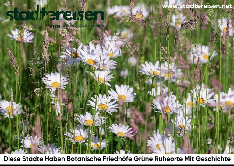 Diese Städte Haben Botanische Friedhöfe Grüne Ruheorte Mit Geschichte