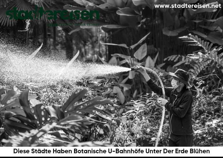 Diese Städte Haben Botanische U-Bahnhöfe Unter Der Erde Blühen
