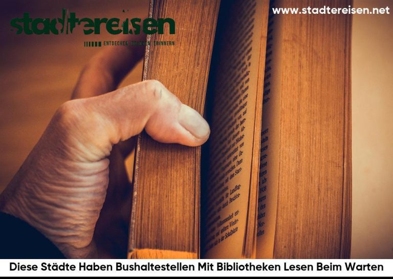 Diese Städte Haben Bushaltestellen Mit Bibliotheken Lesen Beim Warten