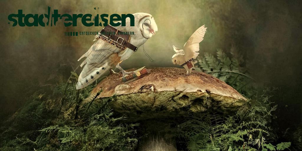 Diese Städte Haben Eigene Märchenwege Für Fans Von Sagen Und Fabeln