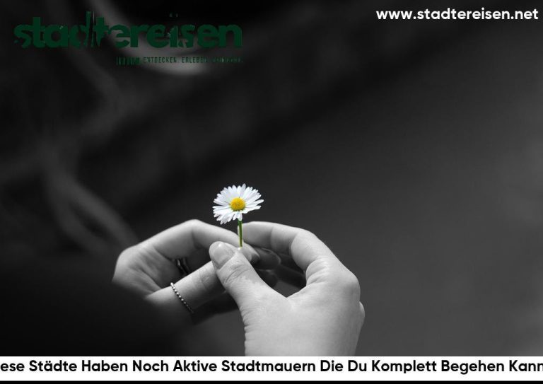 Diese Städte Haben Noch Aktive Stadtmauern Die Du Komplett Begehen Kannst