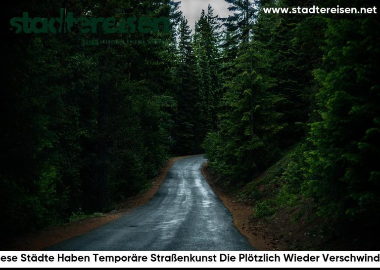 Diese Städte Haben Temporäre Straßenkunst Die Plötzlich Wieder Verschwindet