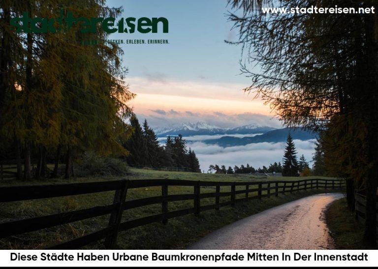 Diese Städte Haben Urbane Baumkronenpfade Mitten In Der Innenstadt