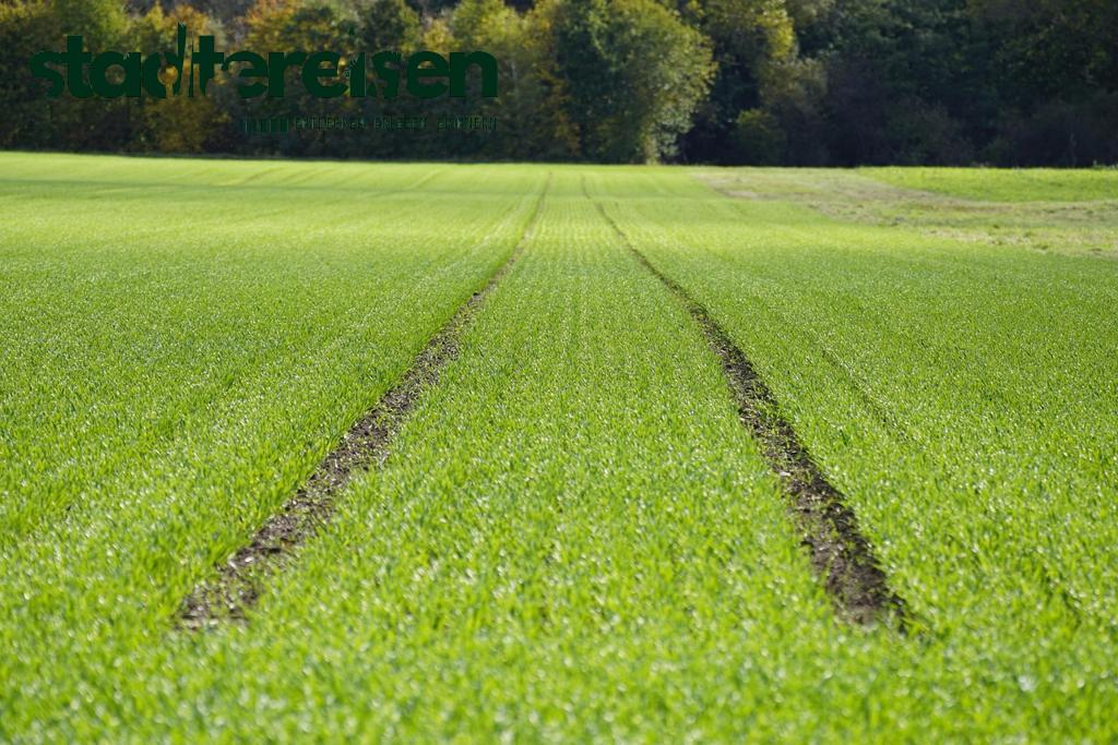 Diese Städte Haben Urbane Farmen Mit Ernte Zum Mitmachen