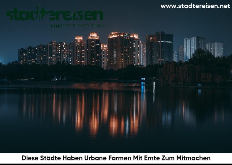 Diese Städte Haben Urbane Farmen Mit Ernte Zum Mitmachen