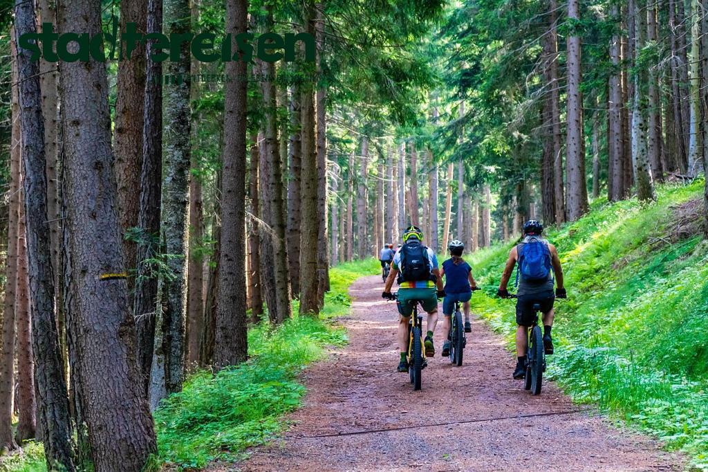 Diese Städte Organisieren Nächtliche Fahrradtouren Unter Sternenhimmel