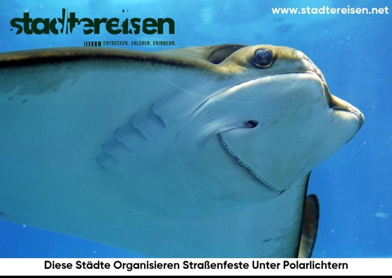 Diese Städte Organisieren Straßenfeste Unter Polarlichtern