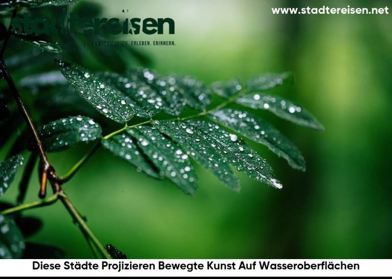 Diese Städte Projizieren Bewegte Kunst Auf Wasseroberflächen
