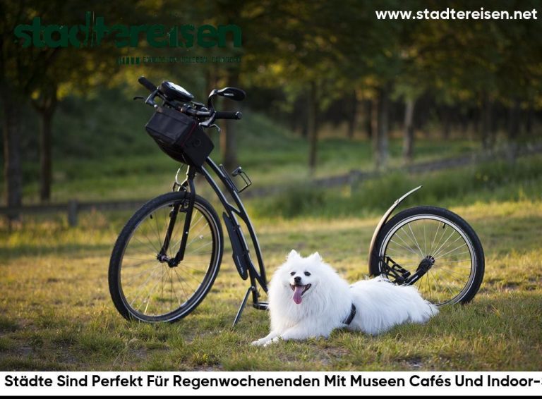 Diese Städte Sind Perfekt Für Regenwochenenden Mit Museen Cafés Und Indoor-Spots