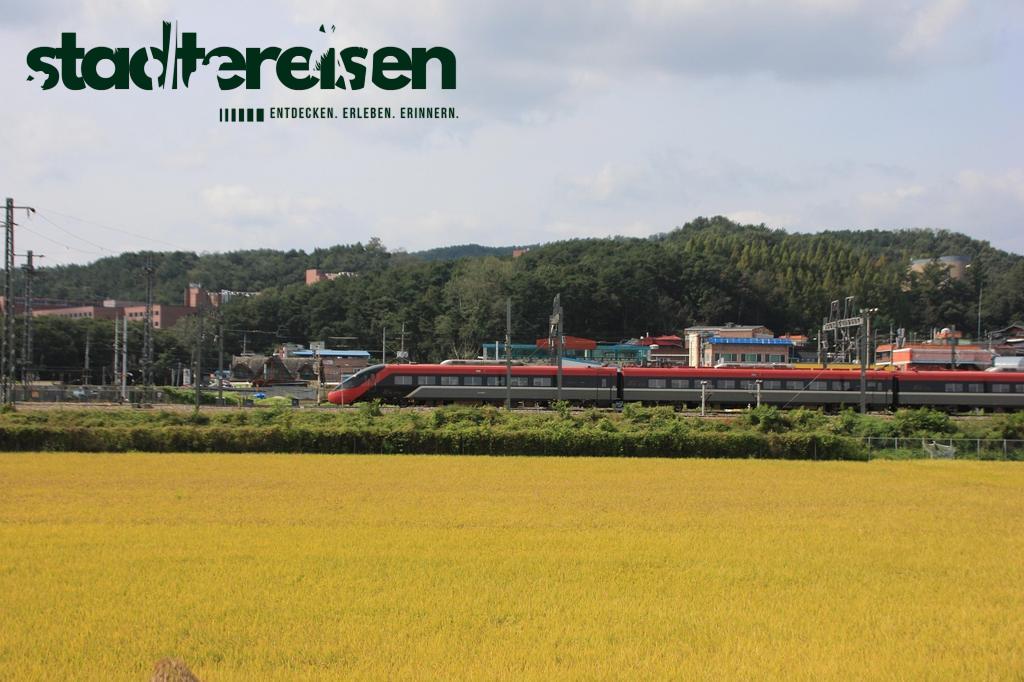 Diese Städte Überraschen Mit Seilbahnen Als Öffentliches Verkehrsmittel