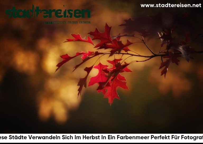 Diese Städte Verwandeln Sich Im Herbst In Ein Farbenmeer Perfekt Für Fotografen