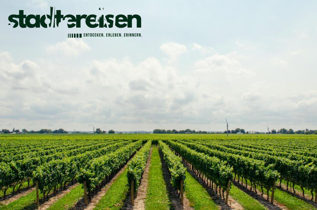 Klimafreundlich Reisen Diese Städte Erreichst Du Mit Dem 49-Euro-Ticket