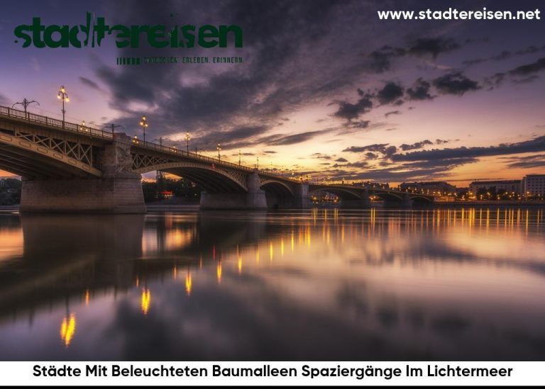 Städte Mit Beleuchteten Baumalleen Spaziergänge Im Lichtermeer