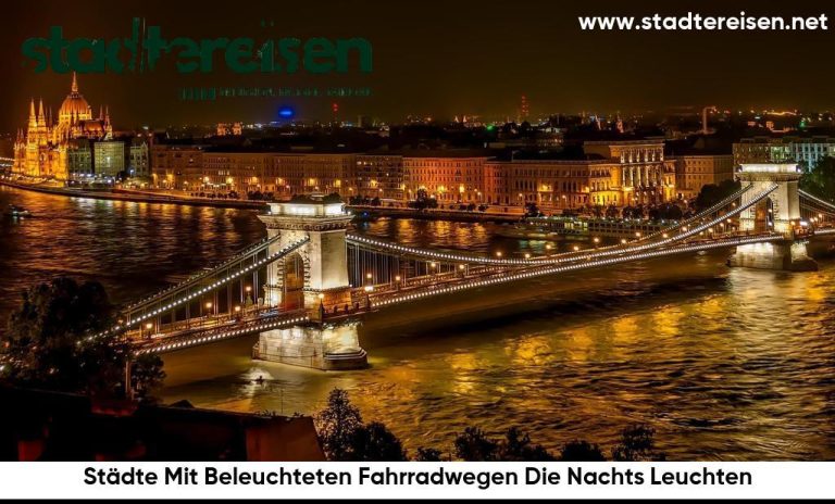 Städte Mit Beleuchteten Fahrradwegen Die Nachts Leuchten