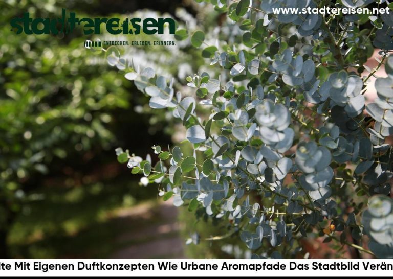 Städte Mit Eigenen Duftkonzepten Wie Urbane Aromapfade Das Stadtbild Verändern