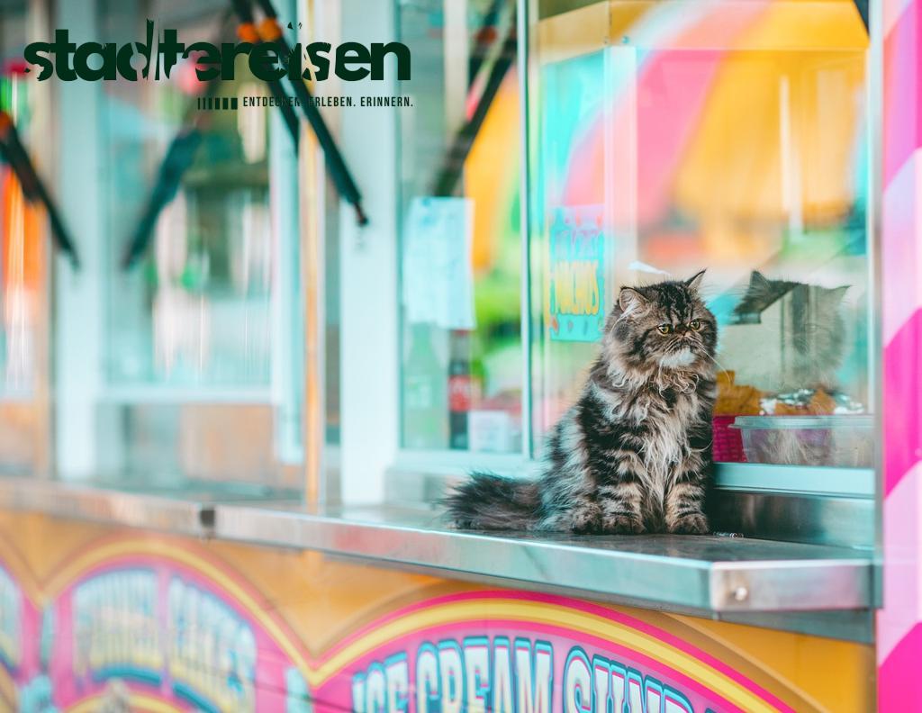 Städte Mit Fahrenden Food-Märkten Ein Kulinarisches Abenteuer Auf Rädern