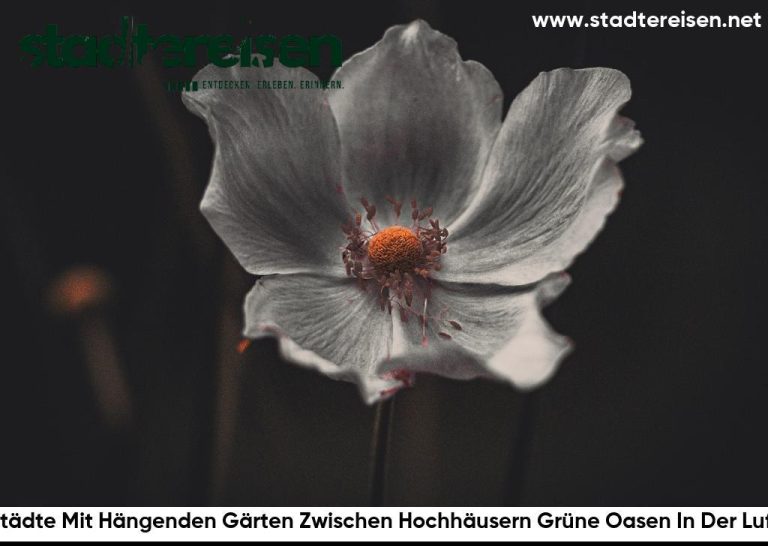 Städte Mit Hängenden Gärten Zwischen Hochhäusern Grüne Oasen In Der Luft