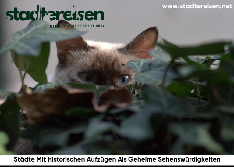 Städte Mit Historischen Aufzügen Als Geheime Sehenswürdigkeiten