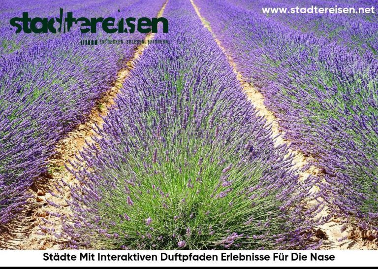 Städte Mit Interaktiven Duftpfaden Erlebnisse Für Die Nase