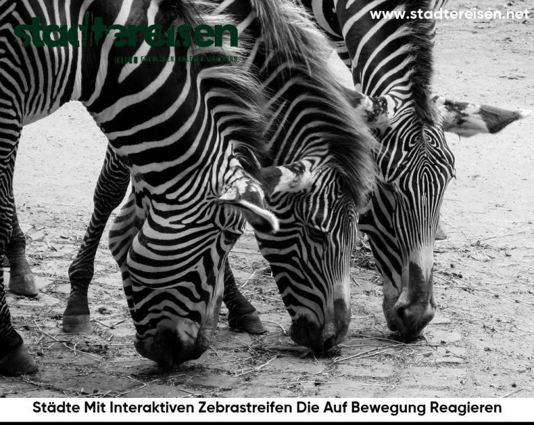 Städte Mit Interaktiven Zebrastreifen Die Auf Bewegung Reagieren