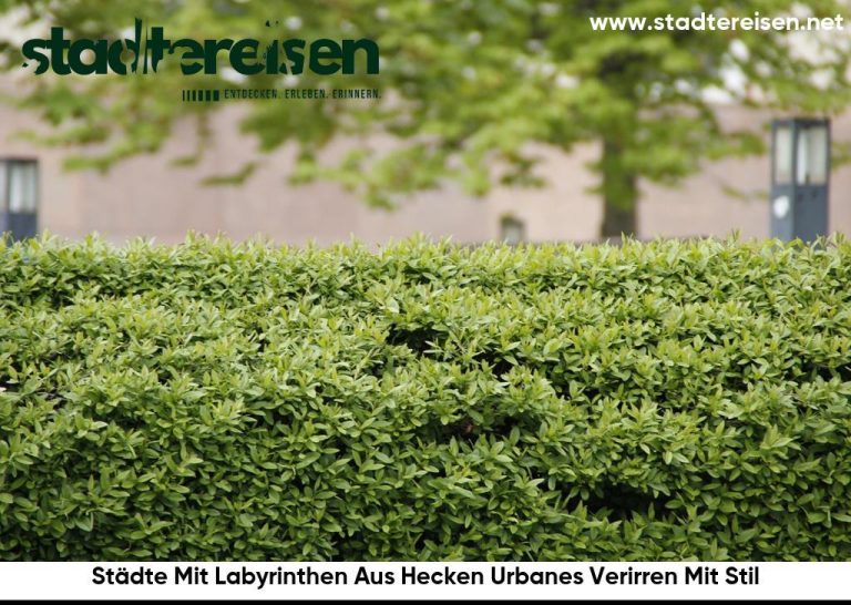 Städte Mit Labyrinthen Aus Hecken Urbanes Verirren Mit Stil