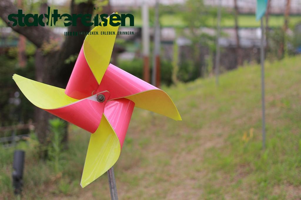 Städte Mit Leuchtenden Kunstinstallationen Bei Regenwetter Visuelle Magie Im Grau