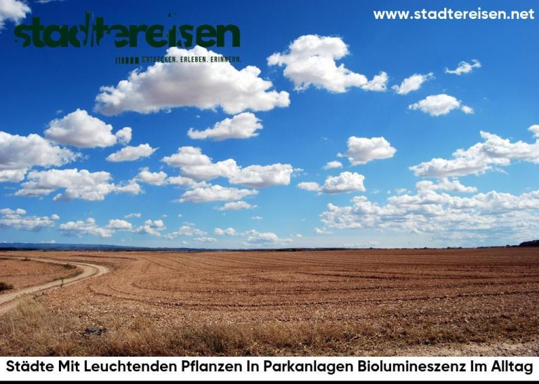 Städte Mit Leuchtenden Pflanzen In Parkanlagen Biolumineszenz Im Alltag