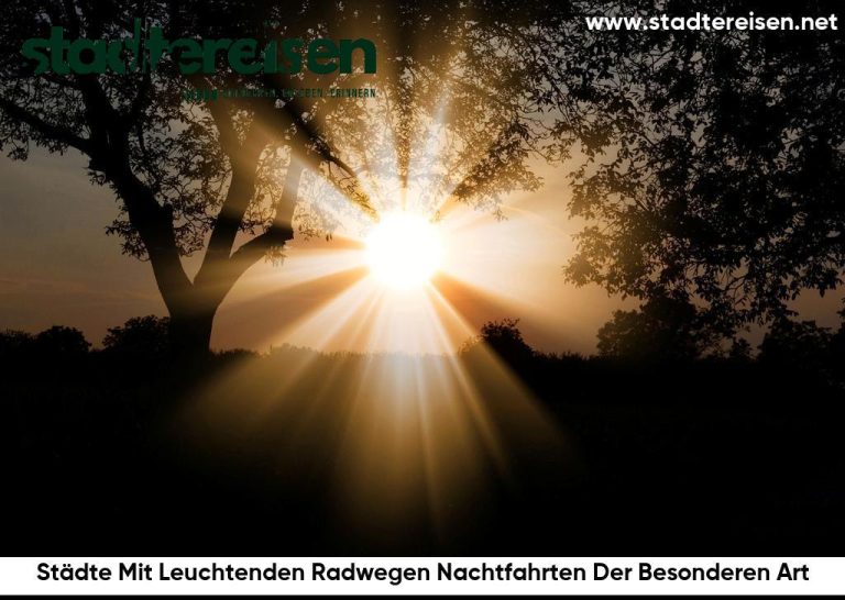 Städte Mit Leuchtenden Radwegen Nachtfahrten Der Besonderen Art