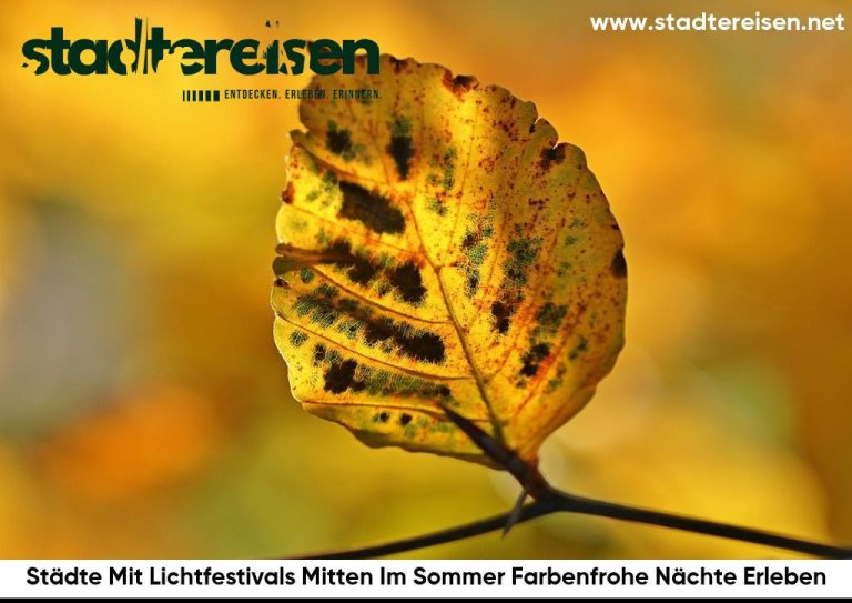 Städte Mit Lichtfestivals Mitten Im Sommer Farbenfrohe Nächte Erleben