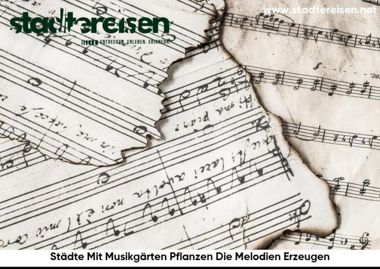 Städte Mit Musikgärten Pflanzen Die Melodien Erzeugen