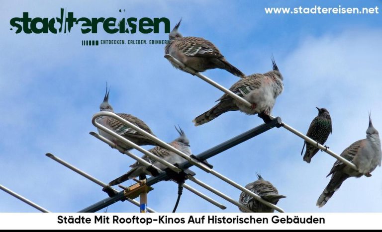 Städte Mit Rooftop-Kinos Auf Historischen Gebäuden