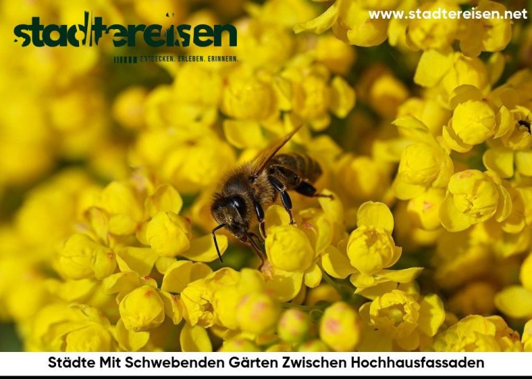 Städte Mit Schwebenden Gärten Zwischen Hochhausfassaden