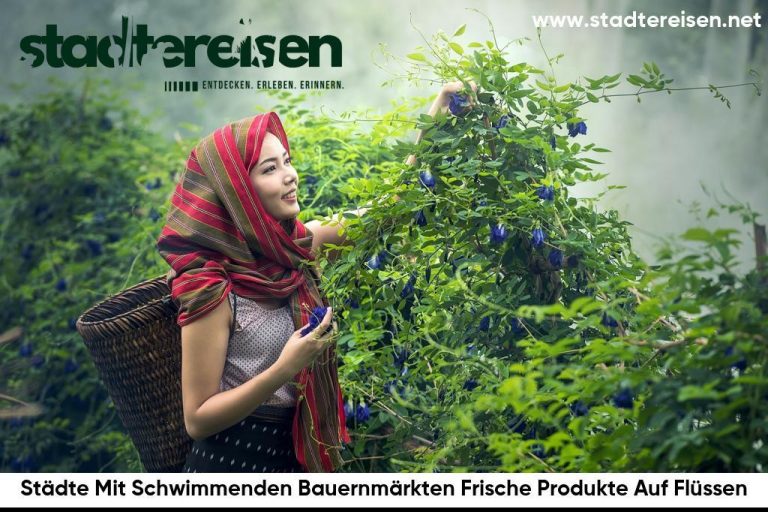 Städte Mit Schwimmenden Bauernmärkten Frische Produkte Auf Flüssen