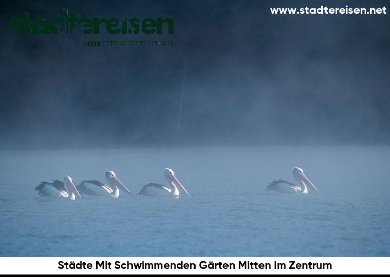 Städte Mit Schwimmenden Gärten Mitten Im Zentrum