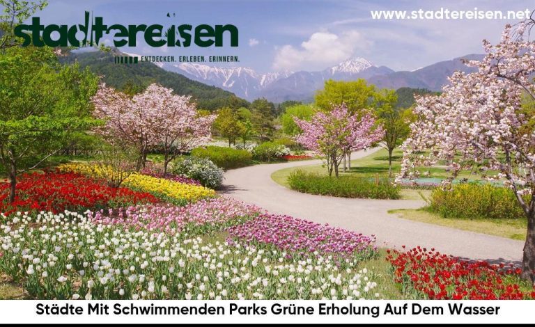 Städte Mit Schwimmenden Parks Grüne Erholung Auf Dem Wasser