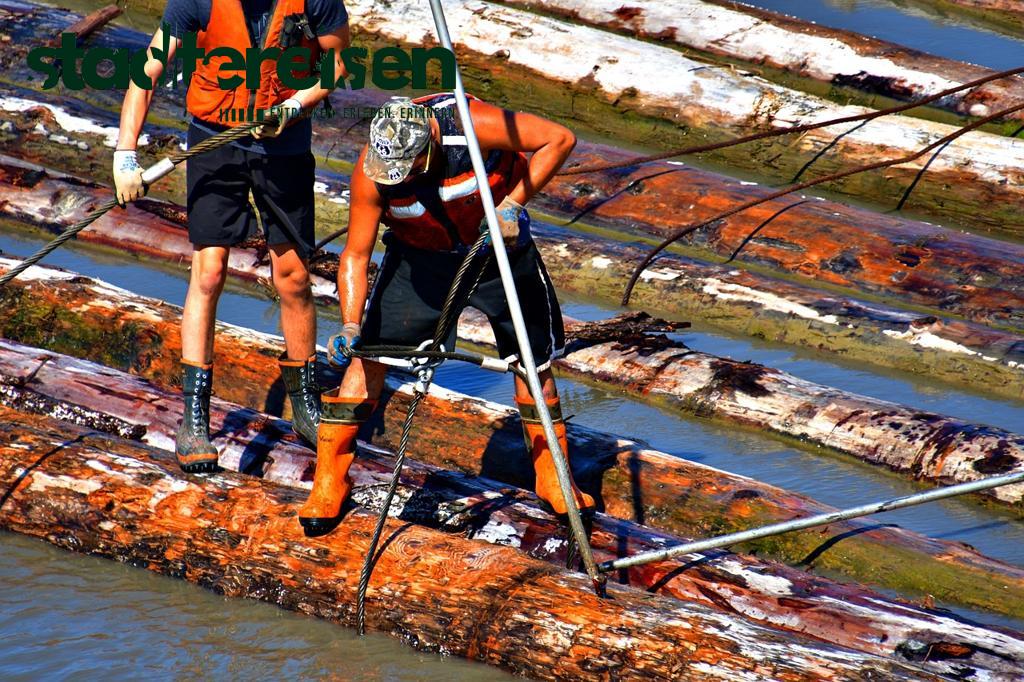Städte Mit Schwimmenden Parks Natur Auf Dem Wasser Erleben
