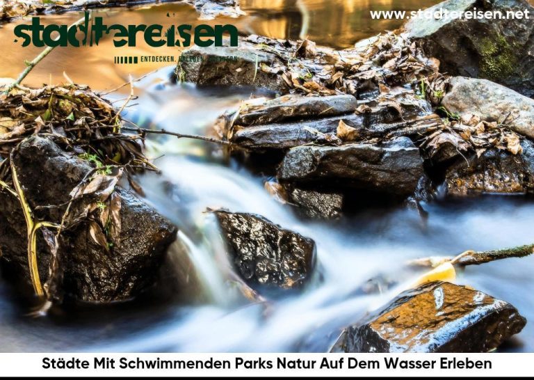 Städte Mit Schwimmenden Parks Natur Auf Dem Wasser Erleben