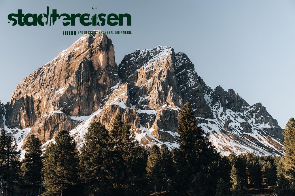 Städte Mit Sprechenden Bäumen In Interaktiven Naturparks
