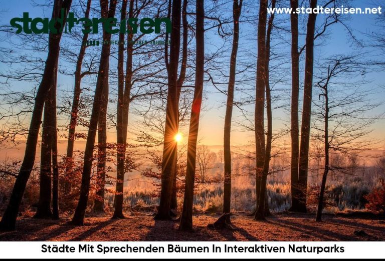 Städte Mit Sprechenden Bäumen In Interaktiven Naturparks