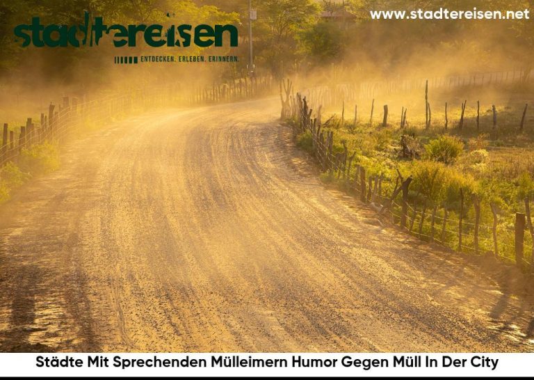 Städte Mit Sprechenden Mülleimern Humor Gegen Müll In Der City