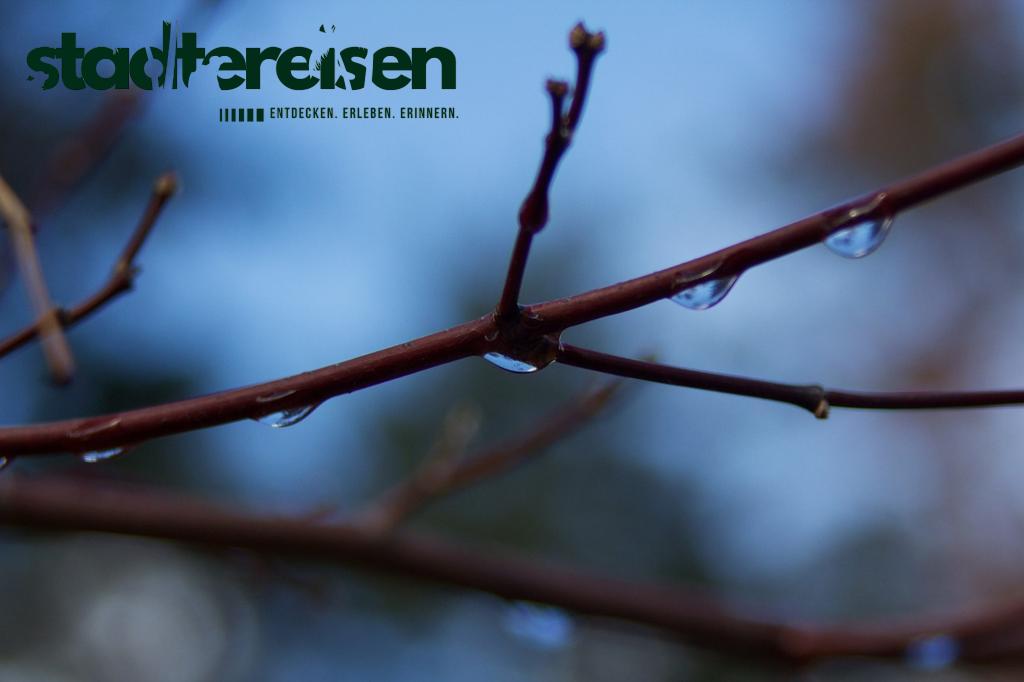 Städte Mit Straßen, Die Bei Regen Kunstwerke Enthüllen