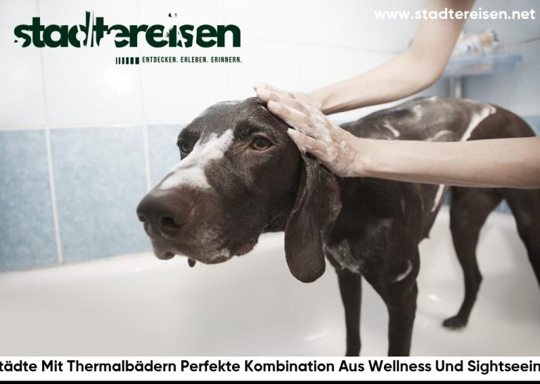 Städte Mit Thermalbädern Perfekte Kombination Aus Wellness Und Sightseeing