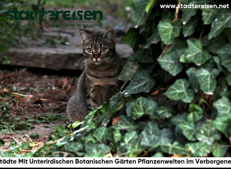 Städte Mit Unterirdischen Botanischen Gärten Pflanzenwelten Im Verborgenen